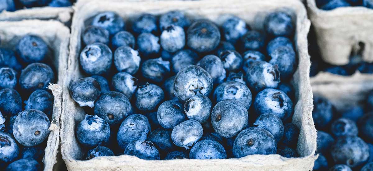 healthyeatslife